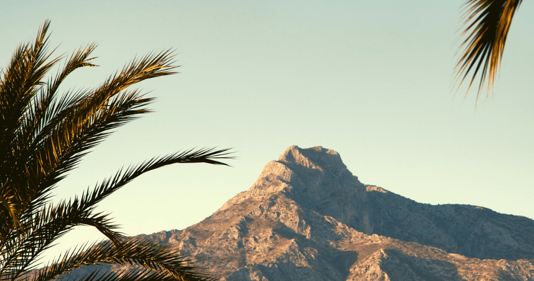 Marbella: 5 ideas ‘top’ para disfrutar del lujo de la Costa del Sol