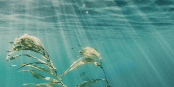 Skincare: cuándo y cómo introducir colágeno en tu rutina de belleza