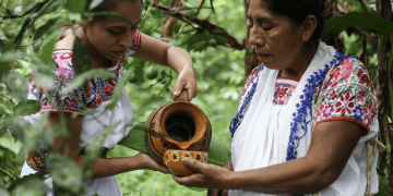 ‘INVEST IN PUEBLA’ LLEGA A FITUR 2024