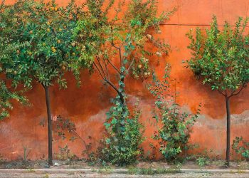 Isabel Quintanilla y su ‘realismo íntimo’ se exponen en el Museo Thyssen