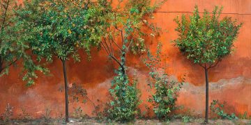 Isabel Quintanilla y su ‘realismo íntimo’ se exponen en el Museo Thyssen