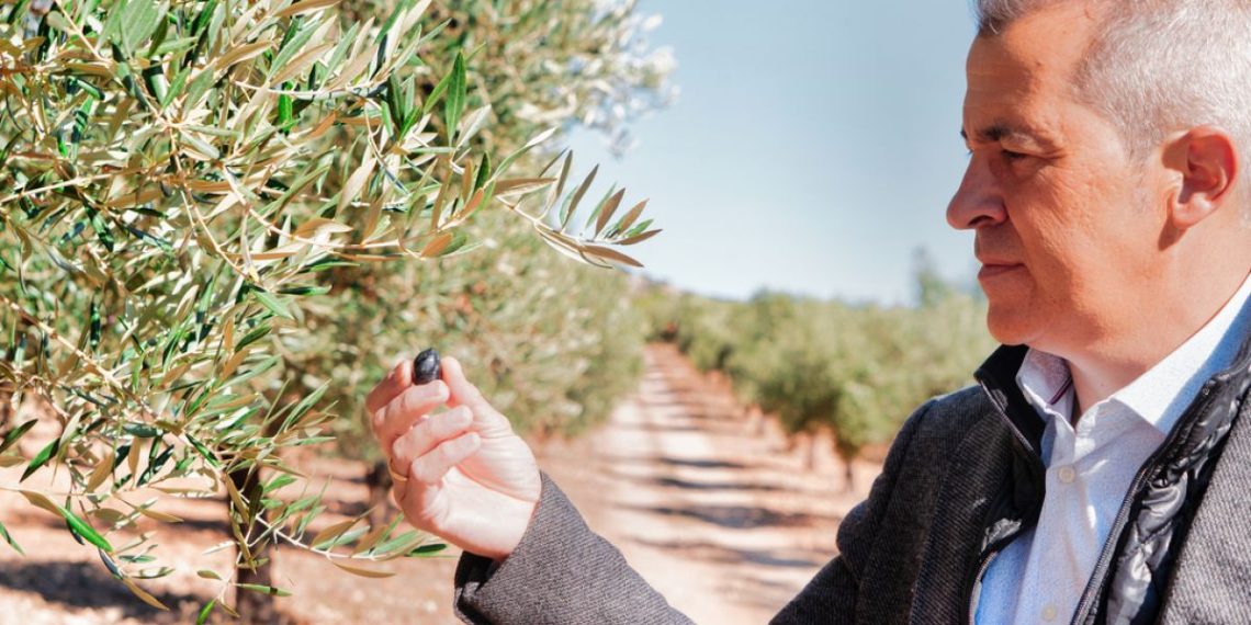 Óscar Arranz, CEO de Masía Vilaplana: “Estas tierras guardan un tesoro, nuestro AOVE, que merecía ser compartido”
