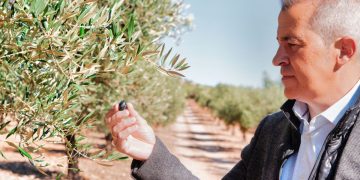 Óscar Arranz, CEO de Masía Vilaplana: “Estas tierras guardan un tesoro, nuestro AOVE, que merecía ser compartido”